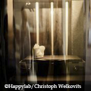 Happylab Christoph Welkovits