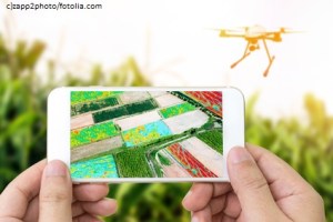Smart agriculture , farm , precision farming concept. Drone and NIR images processing application screen used to create field health maps for normalize difference vegetation index in field.
